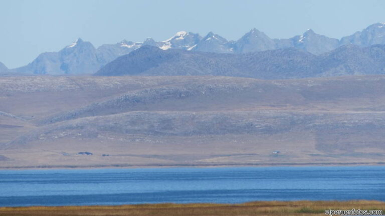 lago junin 005